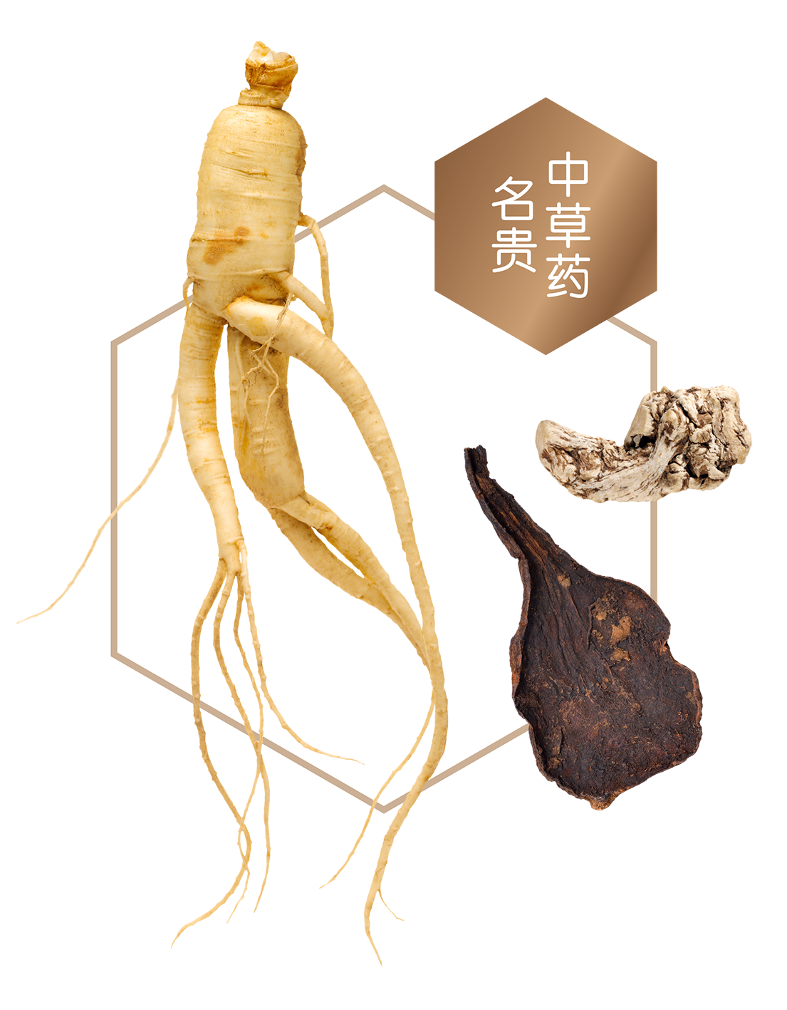 chinese herbs for hair loss